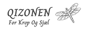 QIZONEN Logo